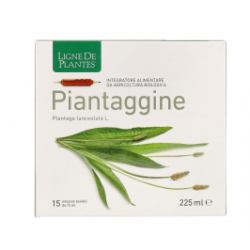 Piantaggine Integratore per Vie Respiratorie 15 Ampolle Piantaggine Integratore per Vie Respiratorie 15 Ampolle