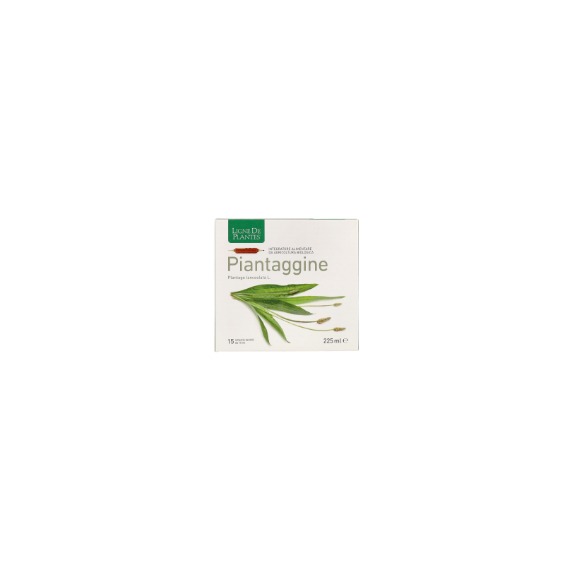 Piantaggine Integratore per Vie Respiratorie 15 Ampolle Piantaggine Integratore per Vie Respiratorie 15 Ampolle