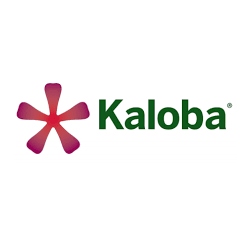 Kaloba 800mg per Sinusite 21 Bustine Kaloba 800mg per Sinusite 21 Bustine