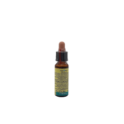 Di Leo Chicory Fiori Di Bach 8 per Umore e Stress 10ml Di Leo Chicory Fiori Di Bach 8 per Umore e Stress 10ml