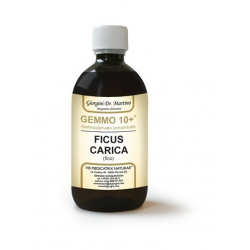 Dr Giorgini Gemmo 10+ Fico Integratore Drenante 500ml Dr Giorgini Gemmo 10+ Fico Integratore Drenante 500ml