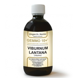 Dr Giorgini Gemmo 10+ Viburno Integratore per Vie Respiratorie 500ml Dr Giorgini Gemmo 10+ Viburno Integratore per Vie Respiratorie 500ml