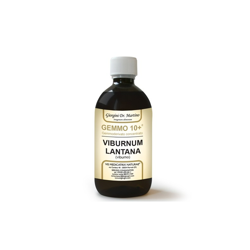 Dr Giorgini Gemmo 10+ Viburno Integratore per Vie Respiratorie 500ml