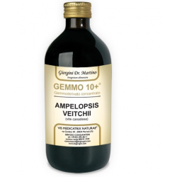 Dr Giorgini Gemmo 10+ Vite Integratore per Umore 500ml Dr Giorgini Gemmo 10+ Vite Integratore per Umore 500ml