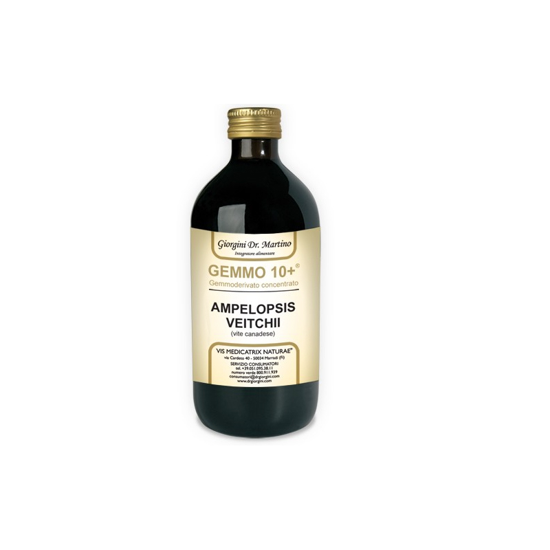 Dr Giorgini Gemmo 10+ Vite Integratore per Umore 500ml