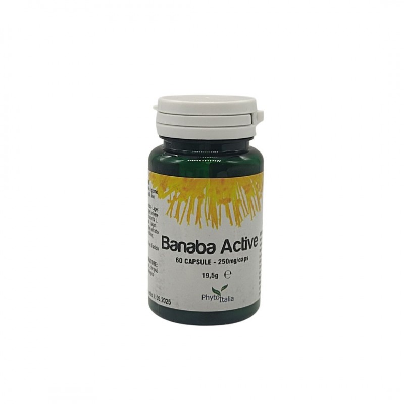 BANABA ACTIVE 60 CAPSULE BANABA ACTIVE 60 CAPSULE