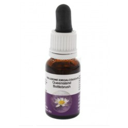 Yes Yarrow Enviromental Solution Integratore per Benessere Mentale 30ml