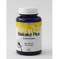 Maitake Plus Integratore Ricostituente 60 Capsule Maitake Plus Integratore Ricostituente 60 Capsule