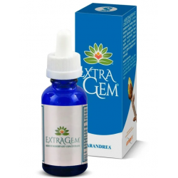 Extragem Pino Marittimo Gemme Integratore per Circolazione 20ml Extragem Pino Marittimo Gemme Integratore per Circolazione 20ml