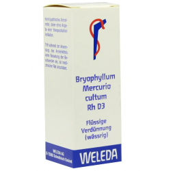 Weleda Bryophyllum Argento Cultum D3 RH Gocce Omeopatiche 20ml Weleda Bryophyllum Argento Cultum D3 RH Gocce Omeopatiche 20ml