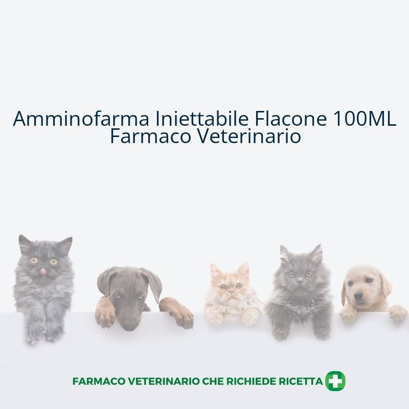 Amminofarma Iniettabile Flacone 100ML Farmaco Veterinario