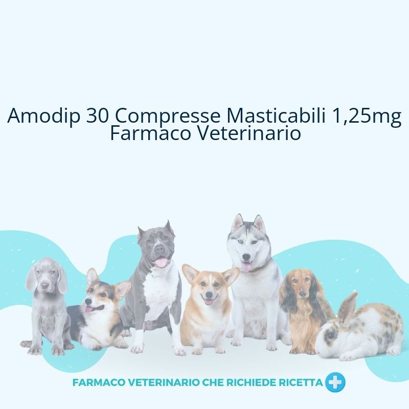 Amodip 30 Compresse Masticabili 1,25mg Farmaco Veterinario