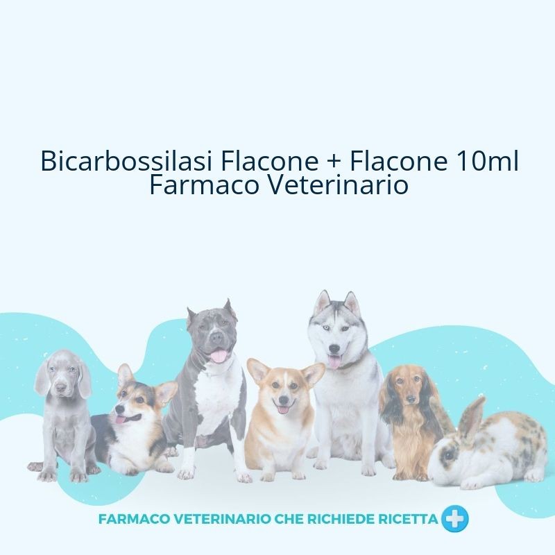Bicarbossilasi Flacone + Flacone 10ml Farmaco Veterinario