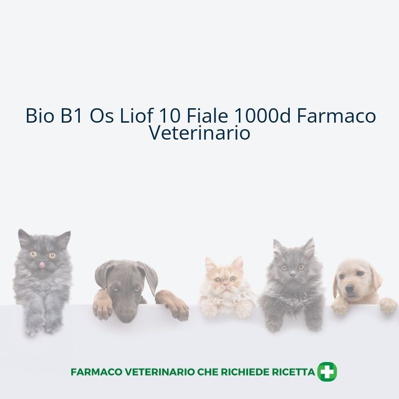 Bio B1 Os Liof 10 Fiale 1000d Farmaco Veterinario
