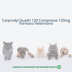 Carprodyl Quadri 120...