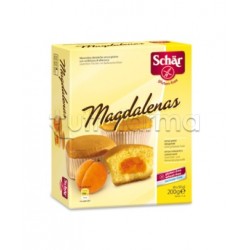 Schar Magdalenas Merendine...
