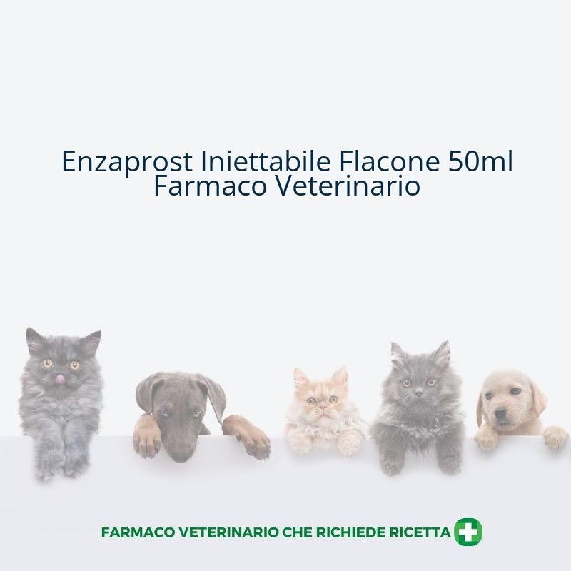 Enzaprost Iniettabile Flacone 50ml Farmaco Veterinario