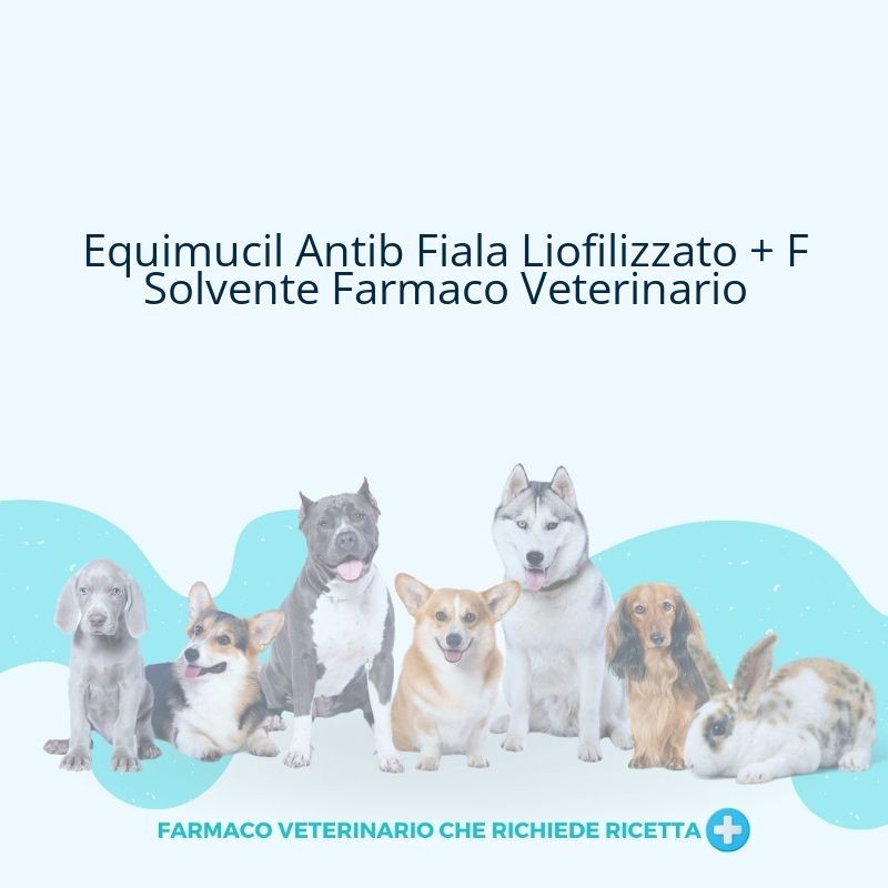 Equimucil Antib Fiala Liofilizzato + F Solvente Farmaco Veterinario
