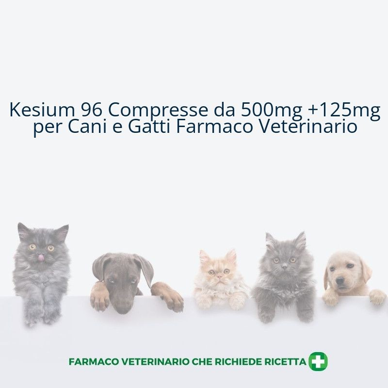 Kesium 96 Compresse da 500mg +125mg per Cani e Gatti Farmaco Veterinario