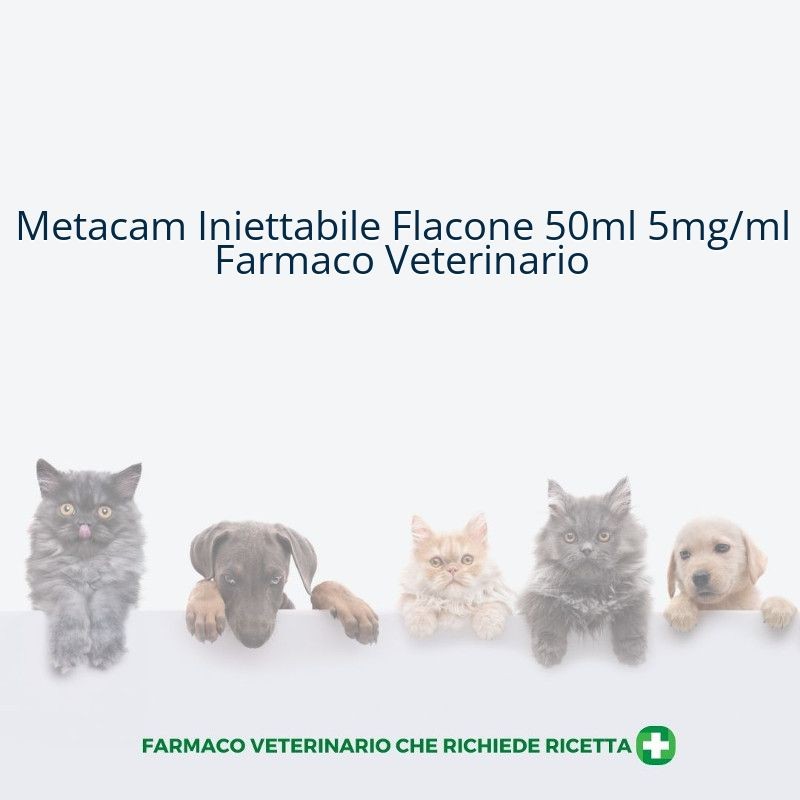 Metacam Iniettabile Flacone 50ml 5mg/ml Farmaco Veterinario