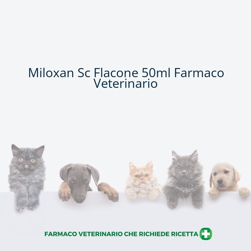 Miloxan Sc Flacone 50ml Farmaco Veterinario