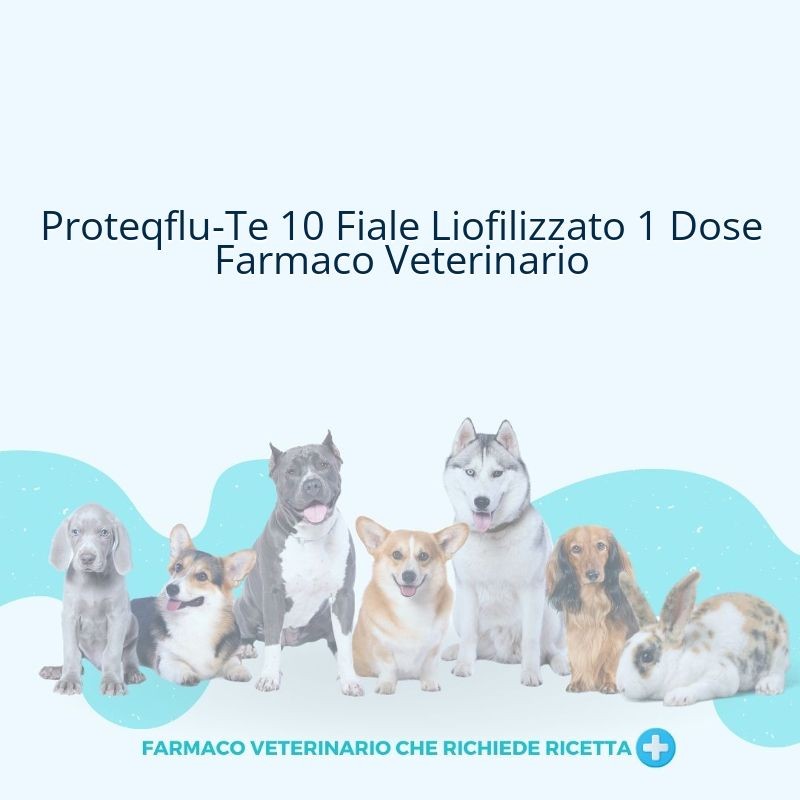 Proteqflu-Te 10 Fiale Liofilizzato 1 Dose Farmaco Veterinario