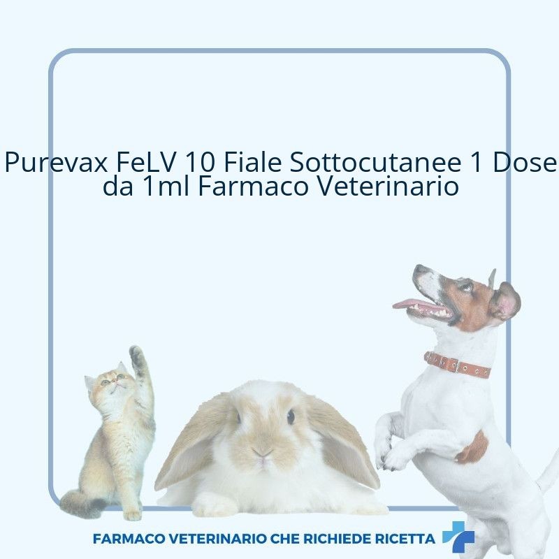 Purevax FeLV 10 Fiale Sottocutanee 1 Dose da 1ml Farmaco Veterinario