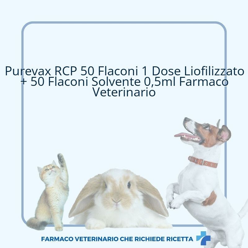 Purevax RCP 50 Flaconi 1 Dose Liofilizzato + 50 Flaconi Solvente 0,5ml Farmaco Veterinario