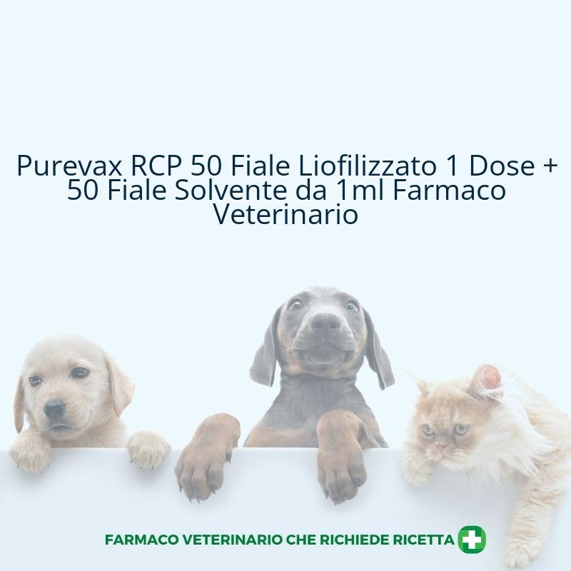 Purevax RCP 50 Fiale Liofilizzato 1 Dose + 50 Fiale Solvente da 1ml Farmaco Veterinario