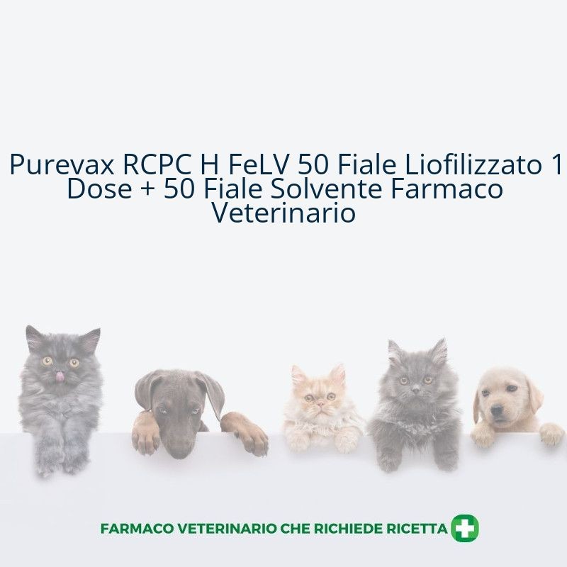 Purevax RCPC H FeLV 50 Fiale Liofilizzato 1 Dose + 50 Fiale Solvente Farmaco Veterinario