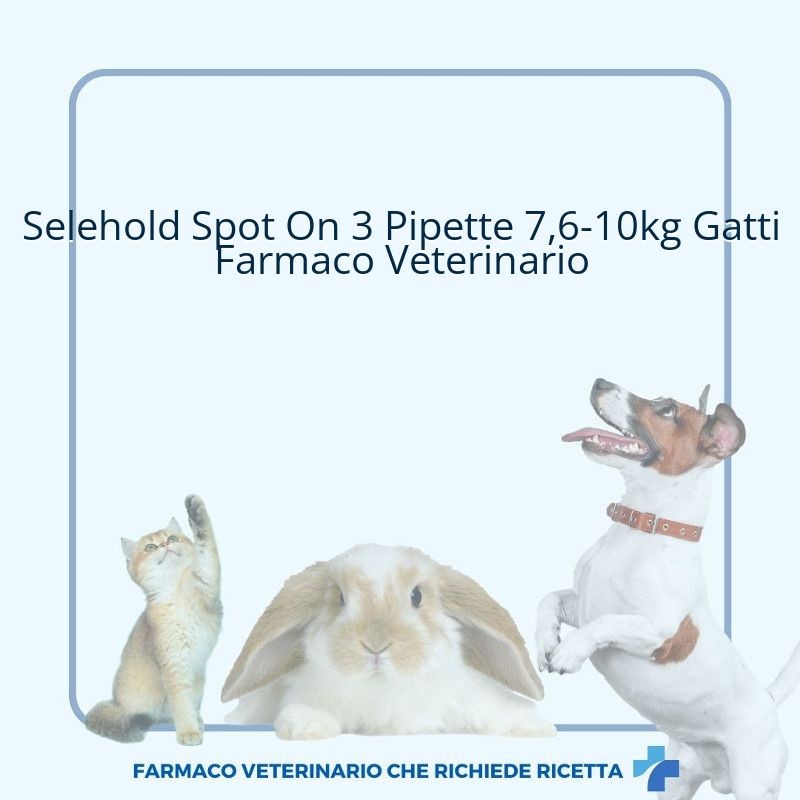 Selehold Spot On 3 Pipette 7,6-10kg Gatti Farmaco Veterinario