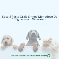 Socatil Pasta Orale Siringa...