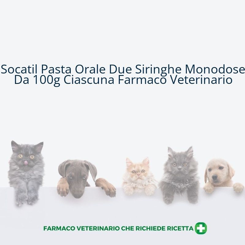 Socatil Pasta Orale Due Siringhe Monodose Da 100g Ciascuna Farmaco Veterinario