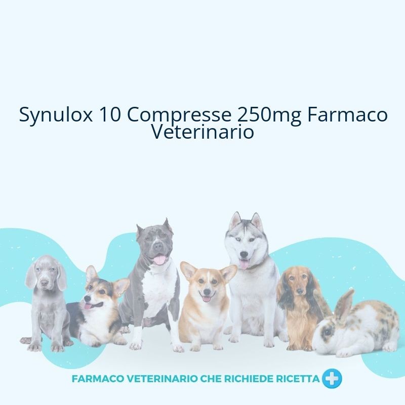 Synulox 10 Compresse 250mg Farmaco Veterinario