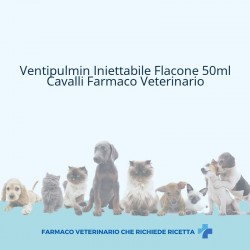 Ventipulmin Iniettabile...