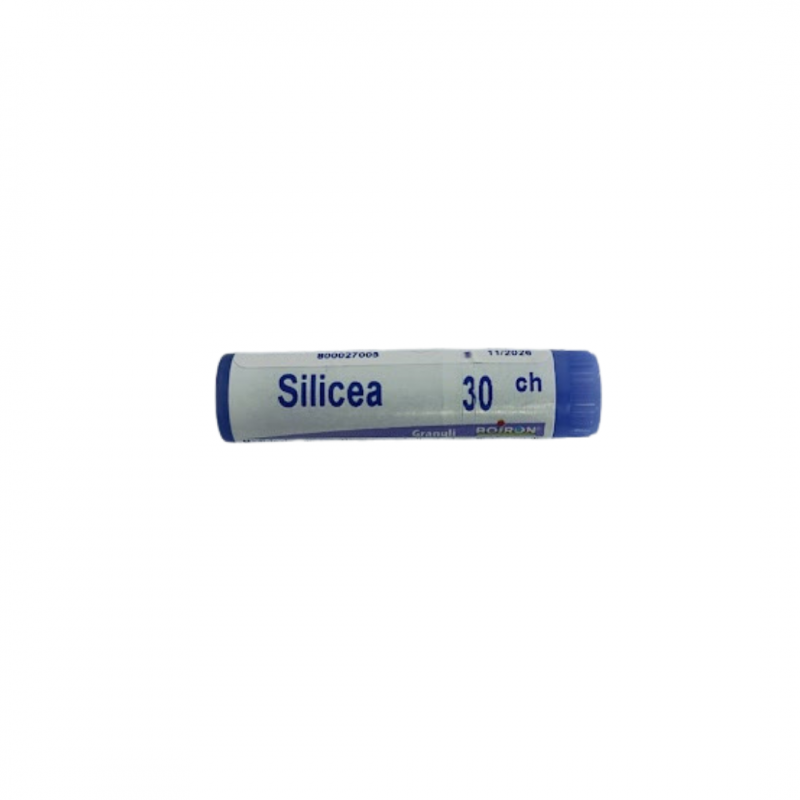 Fronte Foto Boiron Silicea 30CH Monodose Globuli Omeopatici Fronte Foto Boiron Silicea 30CH Monodose Globuli Omeopatici