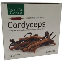 Cordyceps Integratore per... Cordyceps Integratore per...