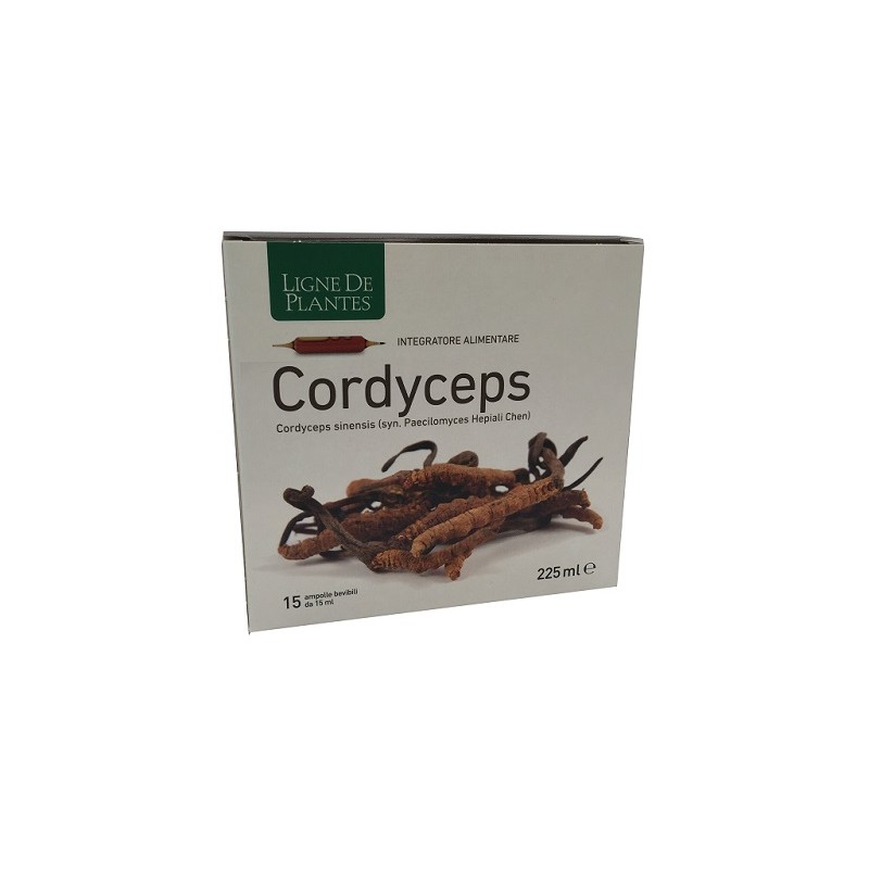 Cordyceps Integratore per Difese Immunitarie 15 Ampolle da 15 ml