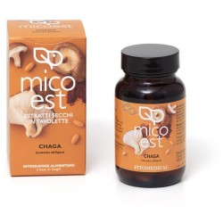 Chaga Estratto Secco...