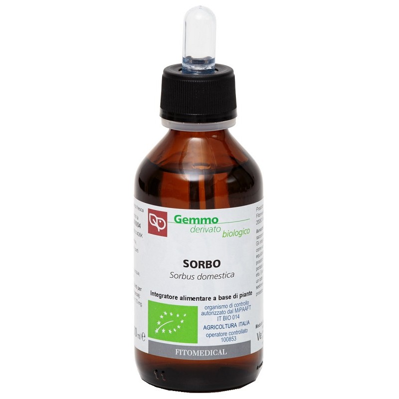 Sorbo Macerato Glicerato per Benessere Generale 100 ml Sorbo Macerato Glicerato per Benessere Generale 100 ml