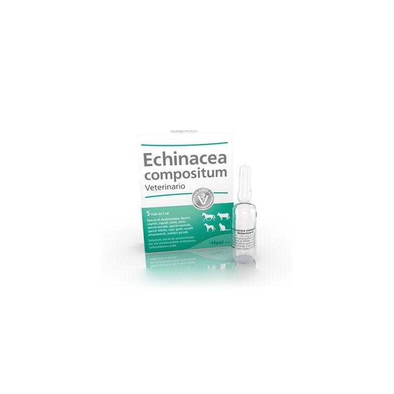 Echinacea Compositum 5 Fiale 5ml Farmaco Veterinario