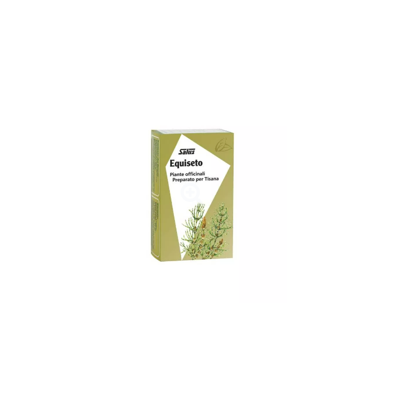 Scatola con Salus Equiseto Tisana per le Articolazioni 15 Filtri Singoli Scatola con Salus Equiseto Tisana per le Articolazioni 15 Filtri Singoli