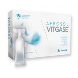 Foto scatola e flaconcino Vitgase Aerosol per Mucose 15 Flaconcini da 5ml Foto scatola e flaconcino Vitgase Aerosol per Mucose 15 Flaconcini da 5ml