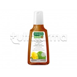 Rausch Shampoo Antiforfora alla Tussilaggine per Forfora Secca 200ml Rausch Shampoo Antiforfora alla Tussilaggine per Forfora Secca 200ml
