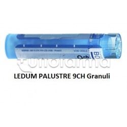 Boiron Ledum Palustre 9CH... Boiron Ledum Palustre 9CH...