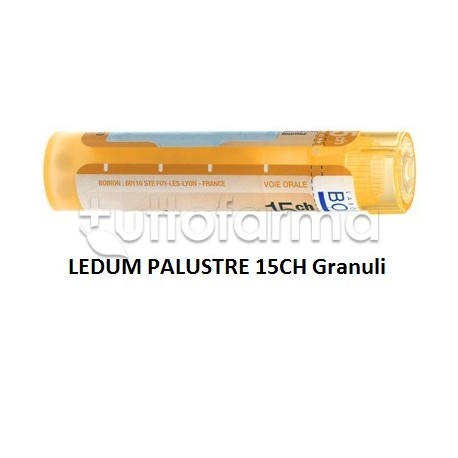 Boiron Ledum Palustre 15CH Granuli Omeopatici Tubo da 4gr Boiron Ledum Palustre 15CH Granuli Omeopatici Tubo da 4gr