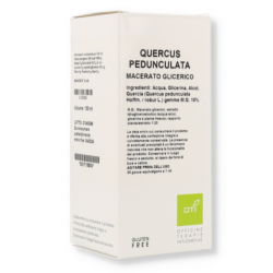 scatola di OTI Quercus Peduncolata Macerato Glicerico Gocce 100ml