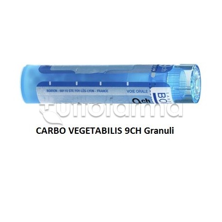 Boiron Carbo Vegetabilis 9CH Granuli Omeopatici Tubo da 4gr