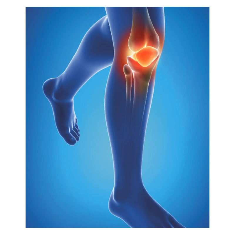 riduzione dolore ginocchio con Epitact Physiostrap