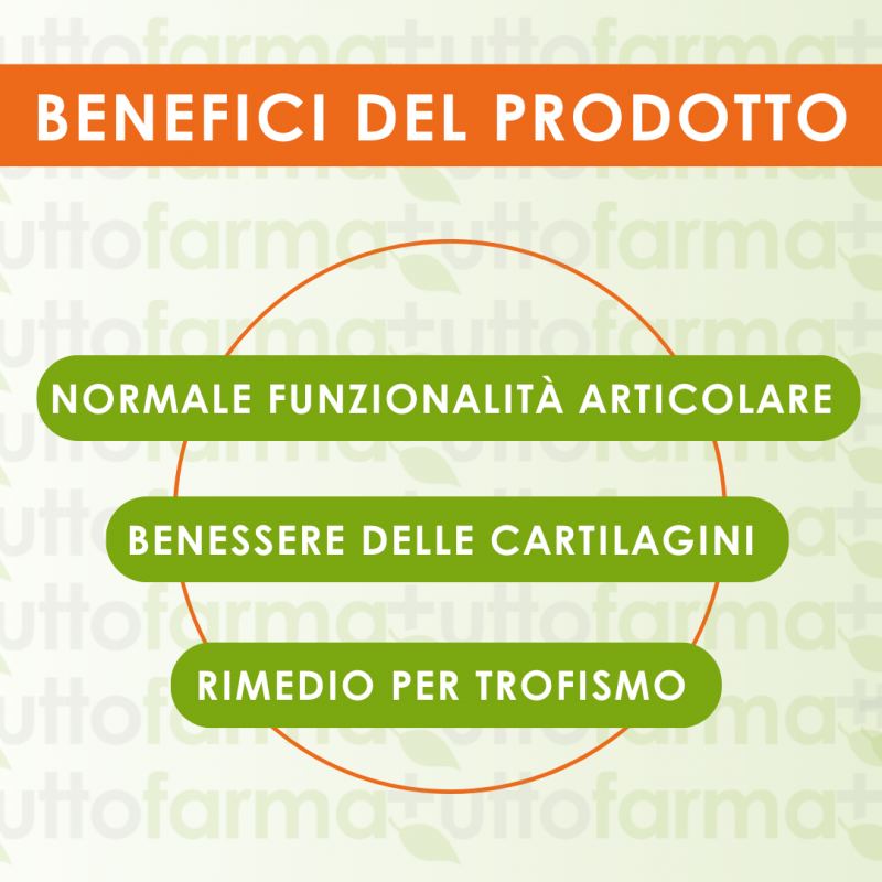 benefici di Carti Joint Forte benefici di Carti Joint Forte